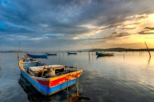 Best Flats Boat Brands 2024: Top Technical Poling Skiffs for Shallow Water