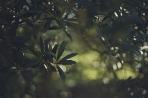 Neutral Color Pairing: Olive, Camel, Charcoal & Soft White
